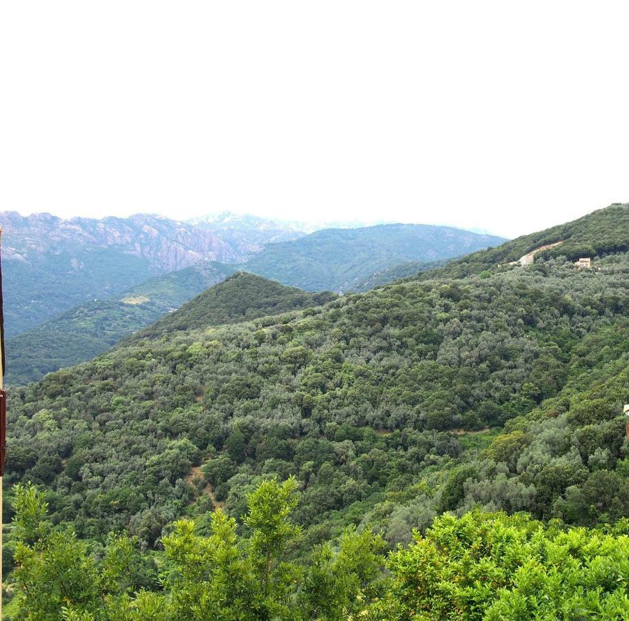 Studio Le Petit Nid D'Amour Meuble Tourisme 3 Etoiles Poggio Santa-Lucia-di-Tallano Ngoại thất bức ảnh